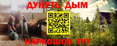 стаф Заводоуковск