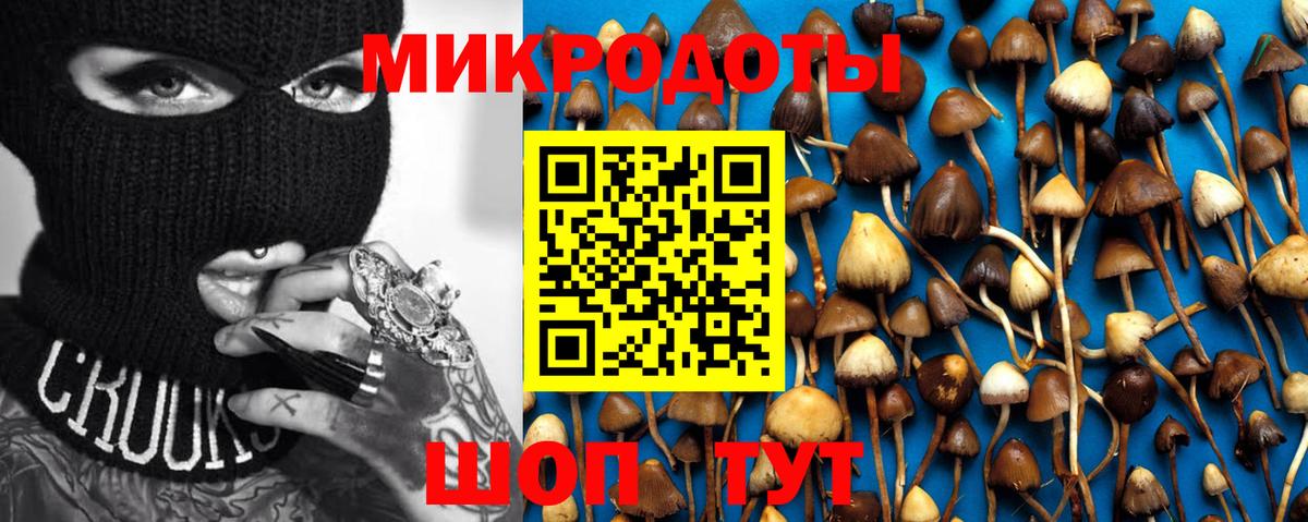 Псилоцибиновые грибы прущие грибы Луга