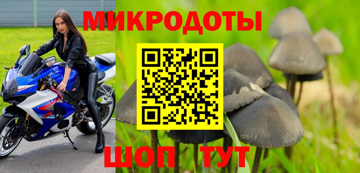 Луга  Галлюциногенные грибы Cubensis  Вход с VPN 